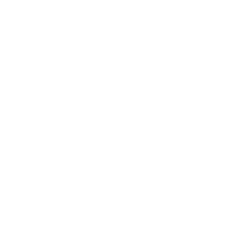 Logo NTO